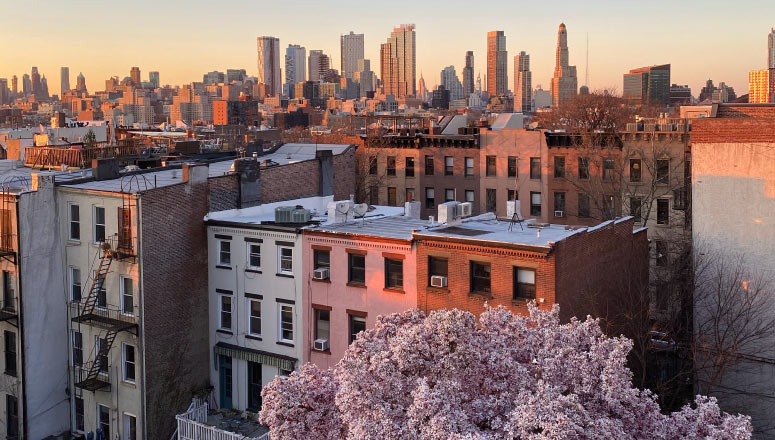 Brooklyn (26 Court St.) Deposition Suite
