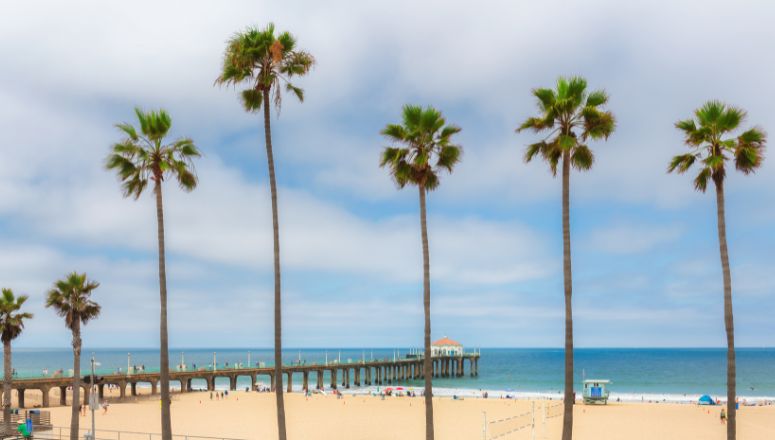 Manhattan Beach Deposition Suite