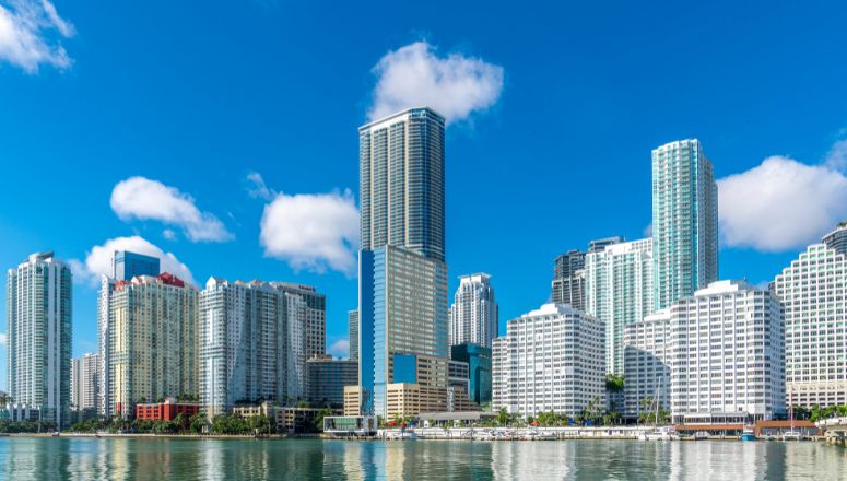 Miami 100 Image