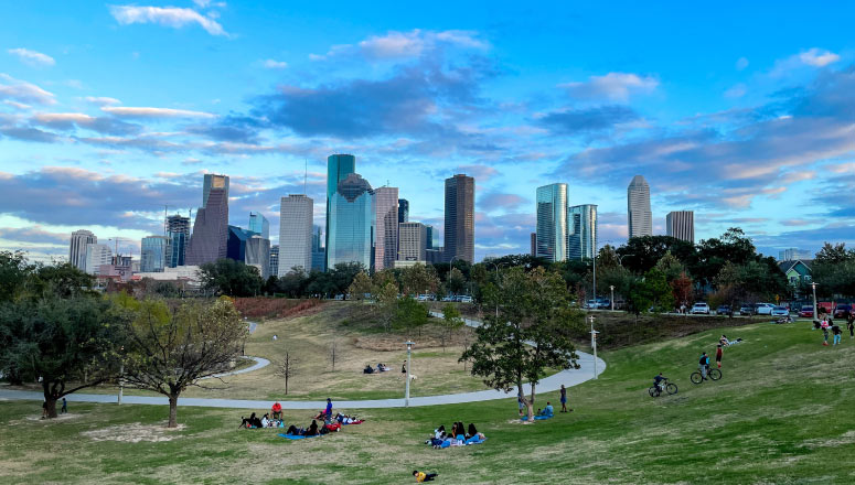 Houston Plaintiff Records Image