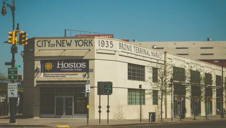 Bronx River Ave Photo